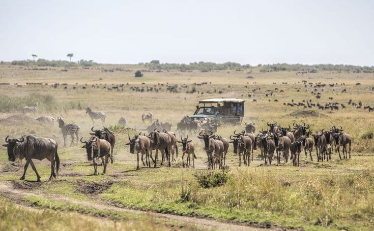 Discover the Magic of Kenya